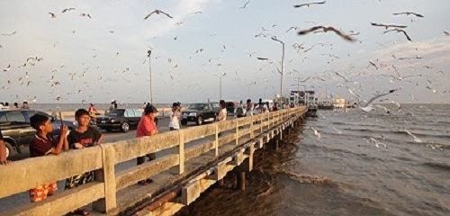 สถานตากอากาศบางปู